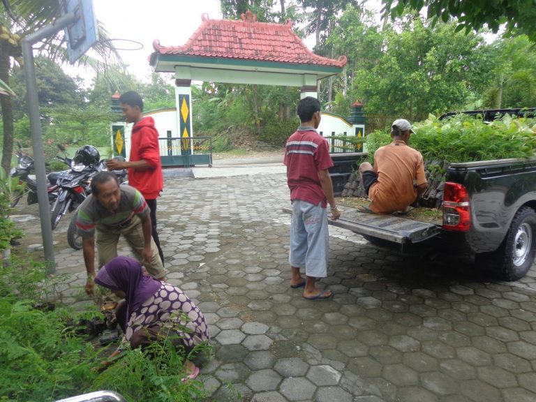 Pembagian Bibit Hasil KBS 3