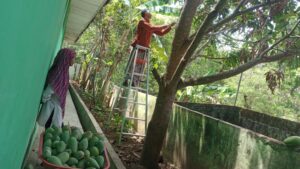 WhatsApp Image 2025-05-17 at 22.29.27