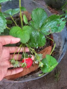 WhatsApp Image 2025-05-17 at 22.31.52