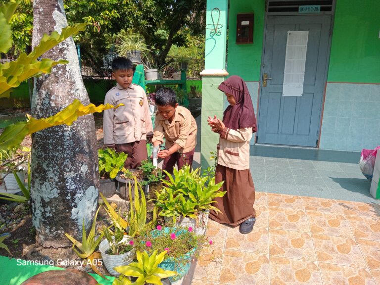 WhatsApp Image 2025-05-19 at 15.21.57