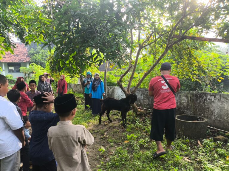 persiapan potong kambing