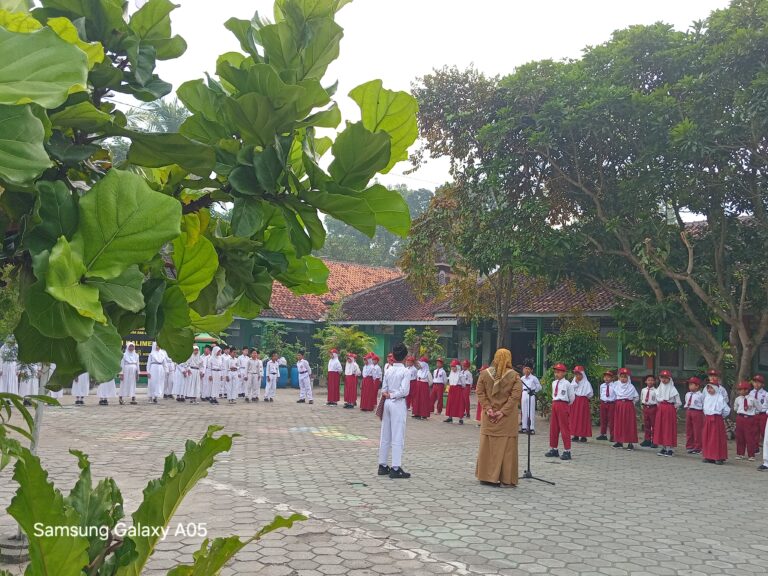 WhatsApp Image 2025-08-21 at 03.29.56 (1)