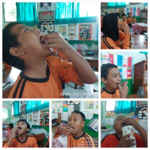 WhatsApp Image 2025-10-30 at 11.01.52