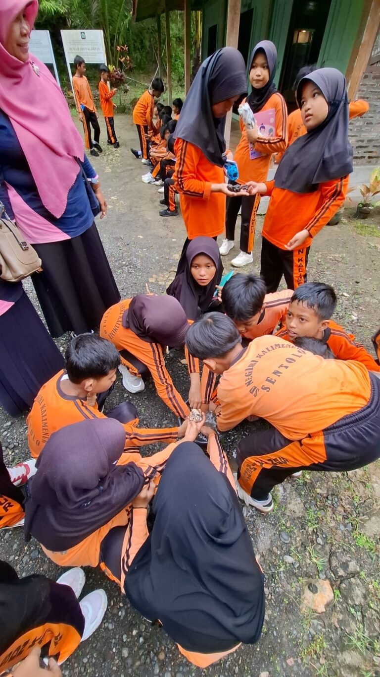 WhatsApp Image 2025-11-26 at 20.56.47